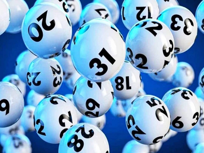 Khám Phá Nohu90: Địa Điểm Đá Gà Tre Trực Tiếp và Nhiều Chương Trình Thưởng Hấp Dẫn